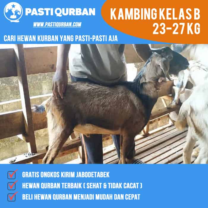Pasti Qurban Kambing Kelas B